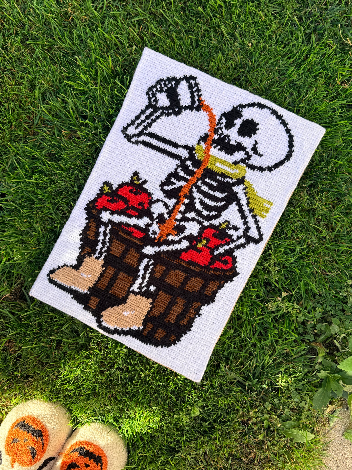 Skelton apple orchid